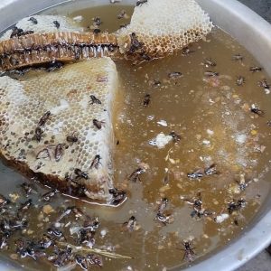 গ্রাম্য চাকের মধু – Natural Village Honey 1kg